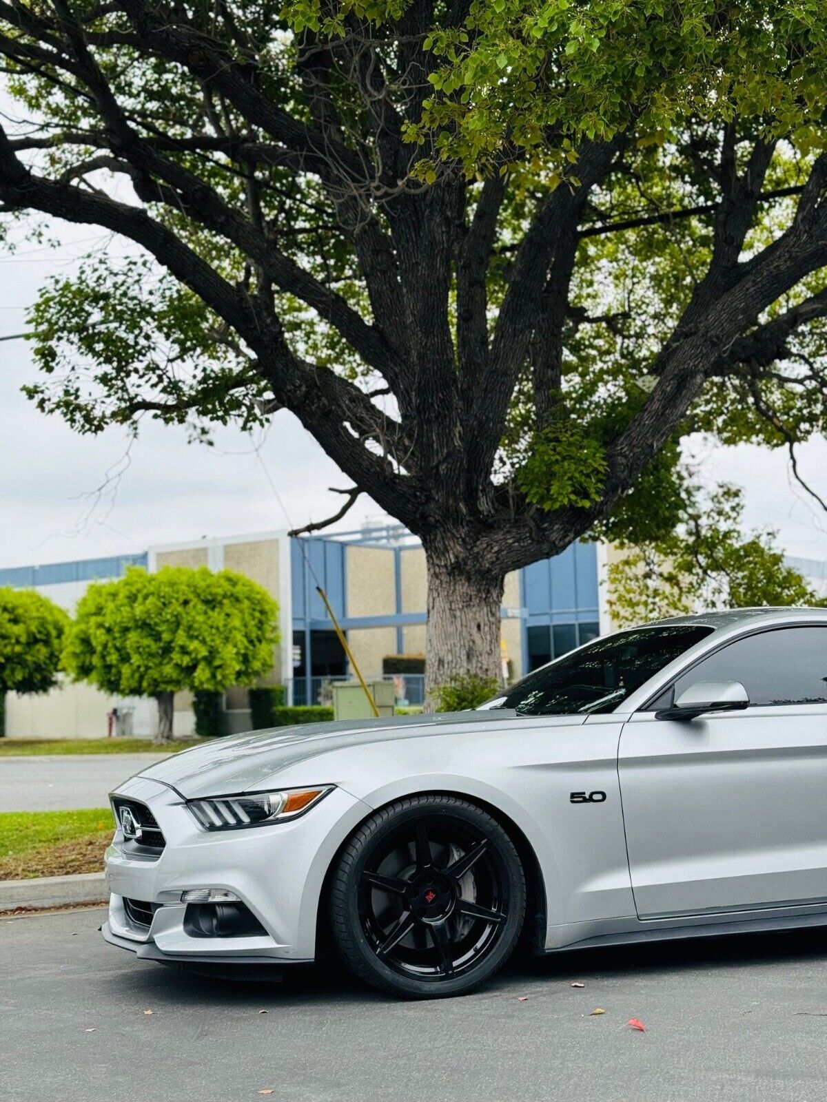 Modern Muscle RF M6 wheels 19X10 / 19X11 for Ford Mustang GT / S550 / Ecoboost